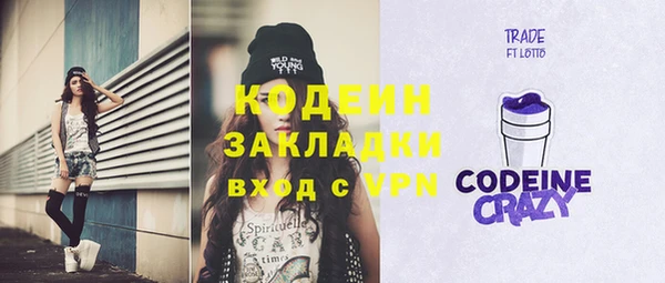 гашик Ладушкин