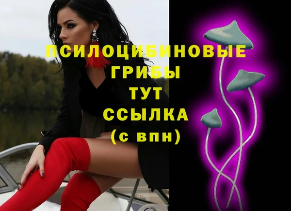 первитин Лабытнанги