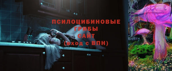 первитин Лабытнанги