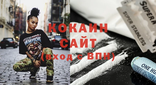 гашик Ладушкин