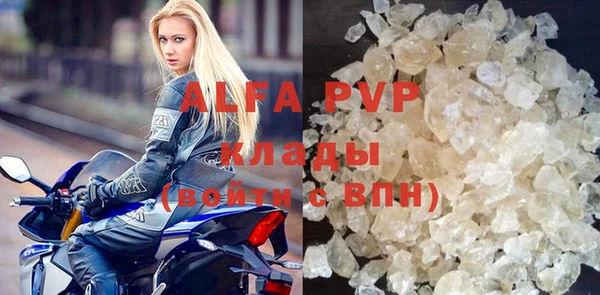 гашик Ладушкин
