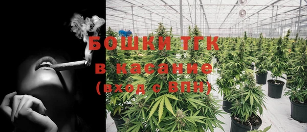 гашик Ладушкин